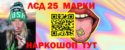 стаф Берёзовский