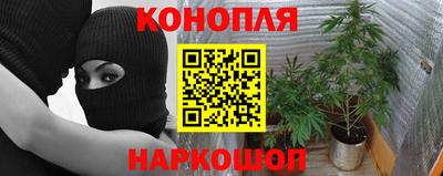 шишки Беслан