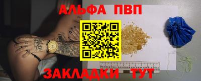 стаф Берёзовский