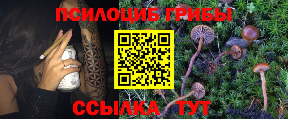 Карачаевск  цены   Галлюциногенные грибы ЛСД  Вход с VPN  Галлюциногенные грибы Cubensis 